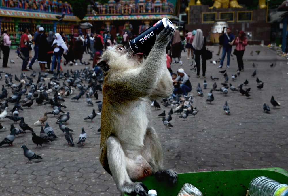 Photograph by Lola Vierse