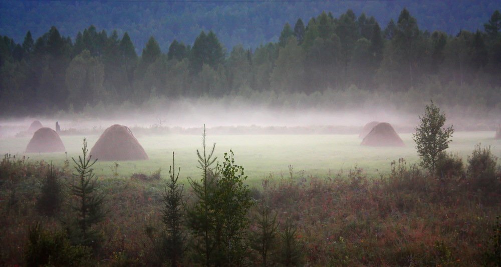 Photograph by Наталья Юрова