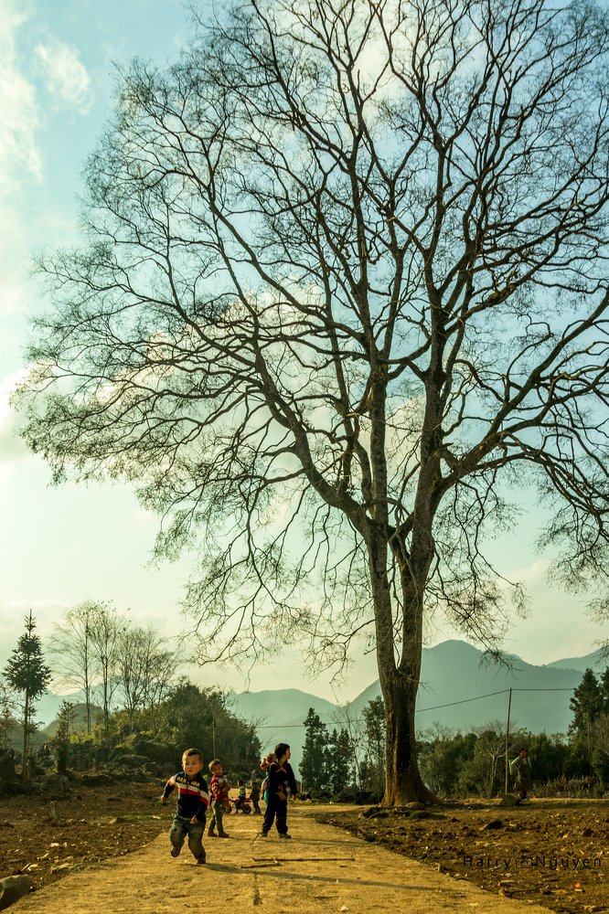 Photograph by Nguyen Duc