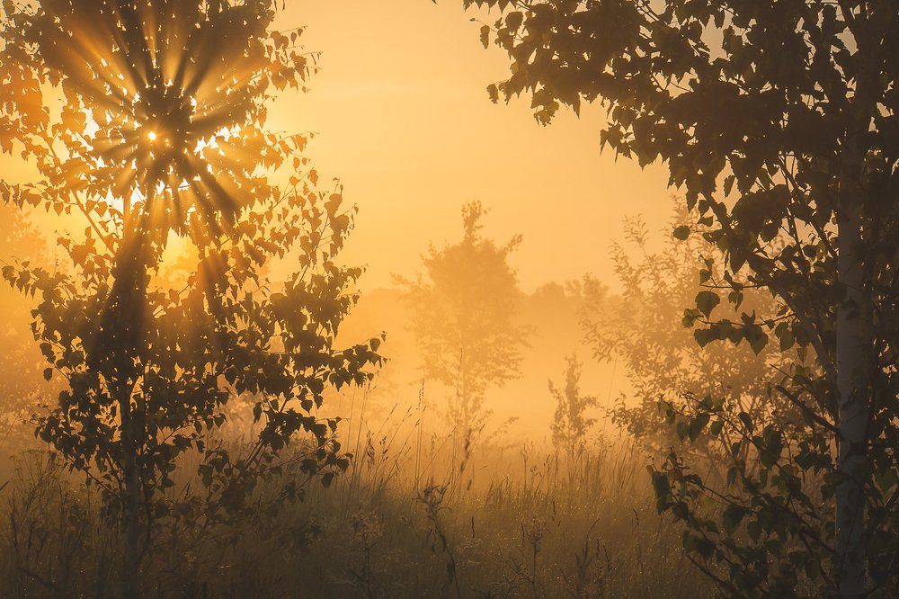 Photograph by Рымаров Александр