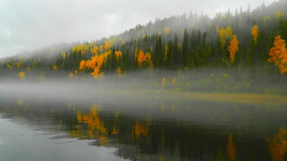 Photograph by Евгения Белоцветова