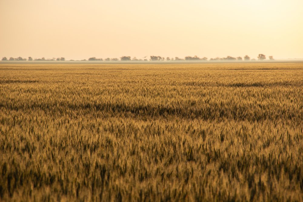 Photograph by Елена Демочкина