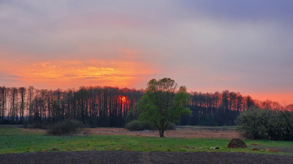 Photo #4663019