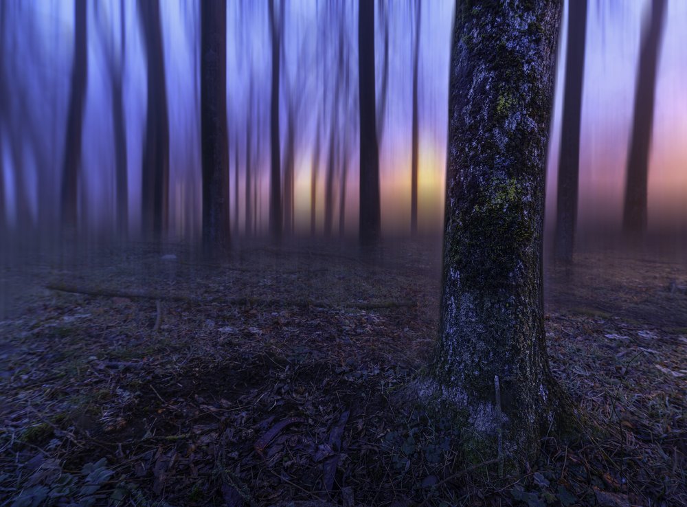 Photograph by Александр Орнатский