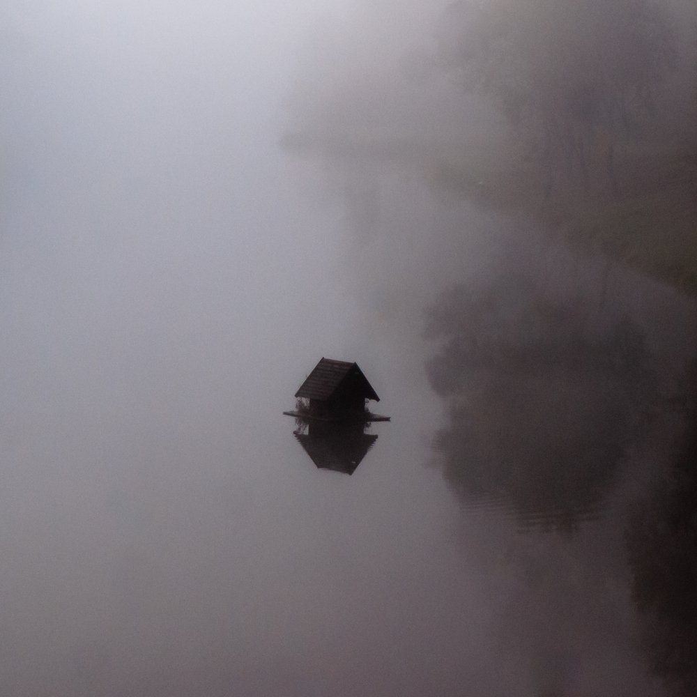 Photograph by Дима Шарапов