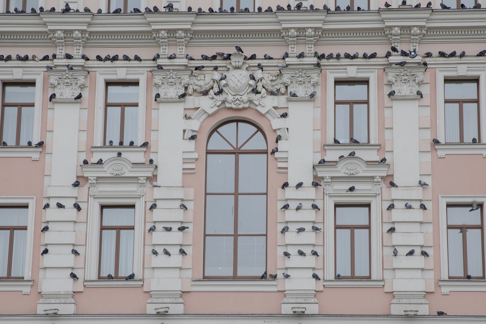 Photograph by Ксения Преферансова