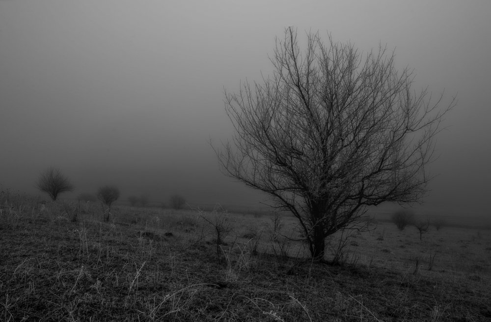 Photograph by Александр Орнатский