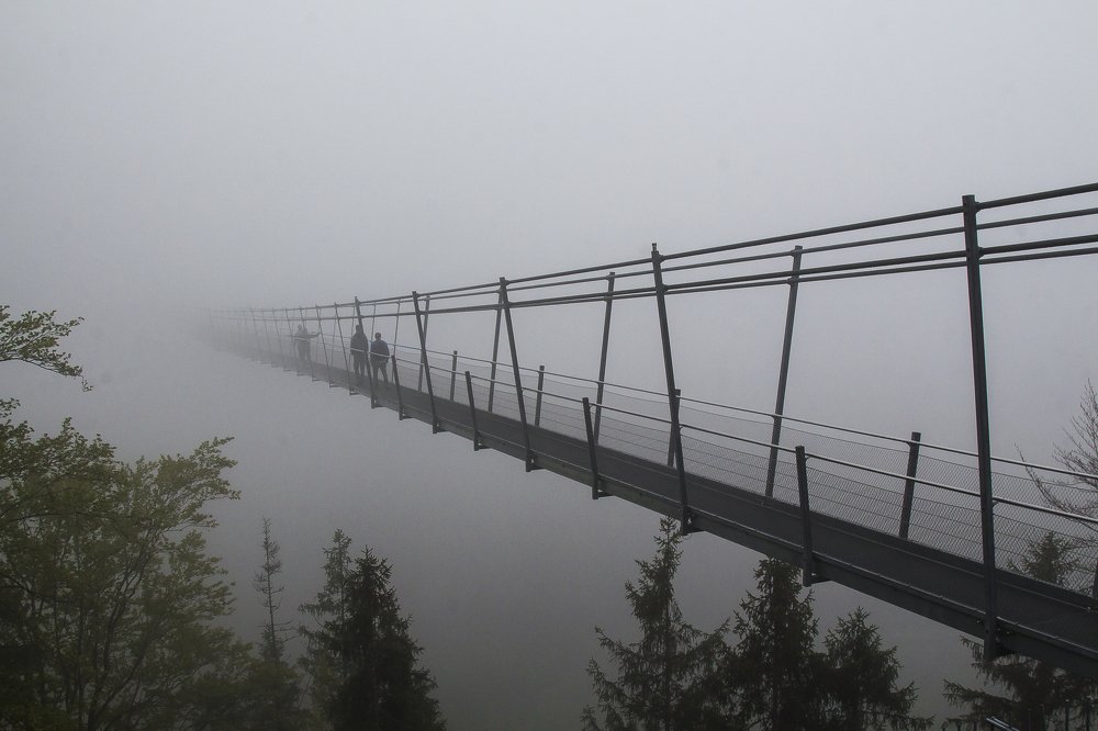 Фотография автора Marina Starovoyt