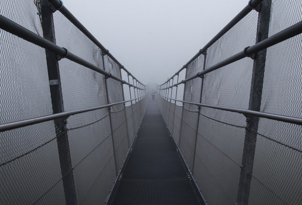 Фотография автора Marina Starovoyt