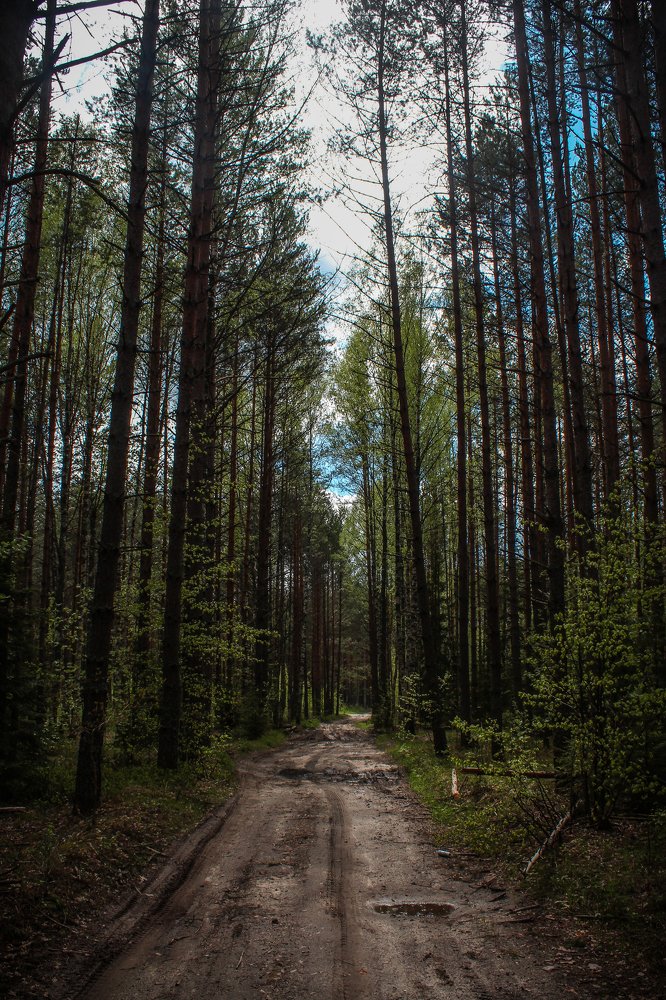 Photograph by Никита Капустин