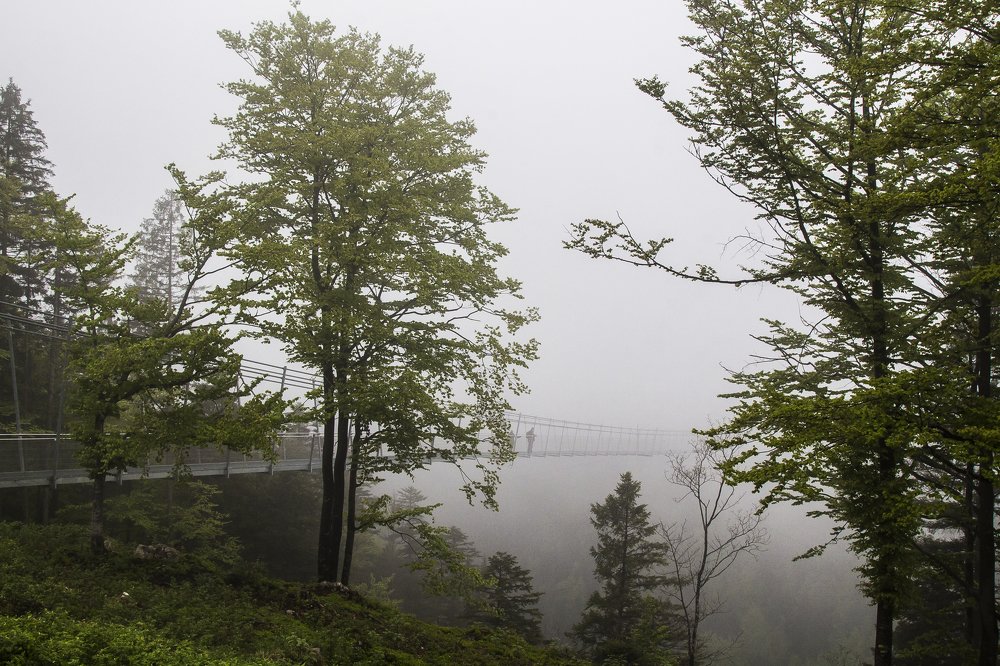 Фотография автора Marina Starovoyt