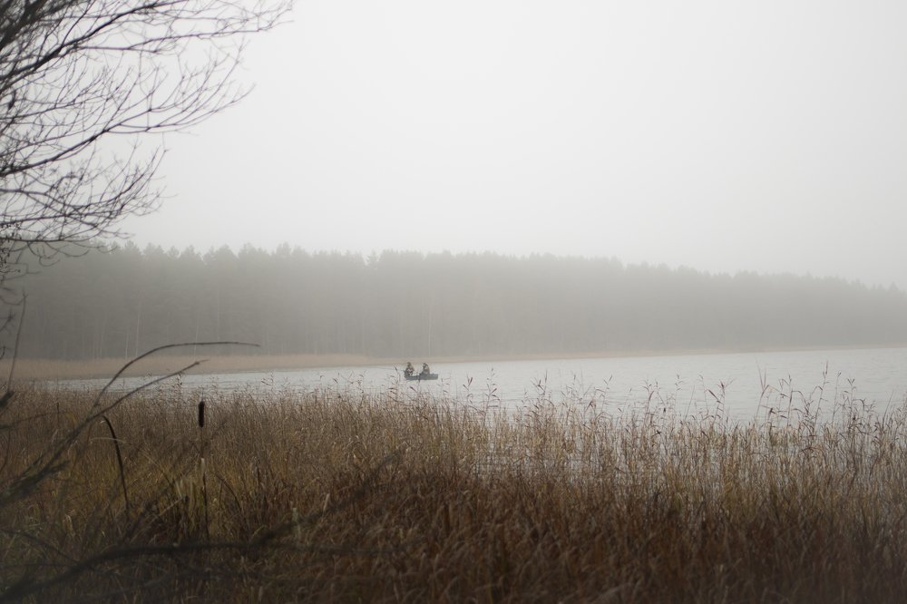 Photograph by Болотина Анна