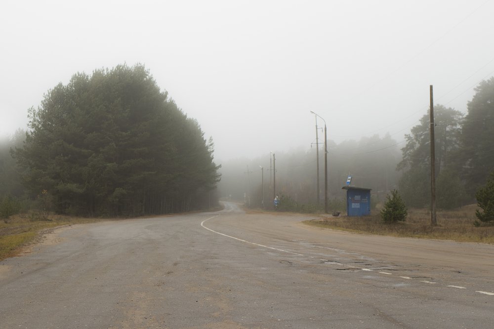 Photograph by Болотина Анна