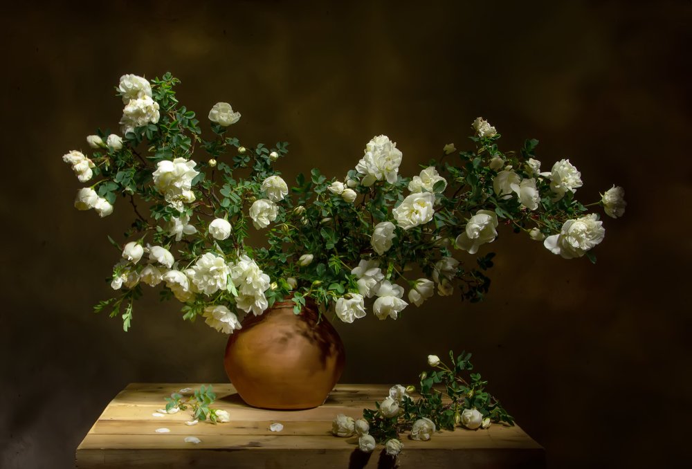 Photograph by 