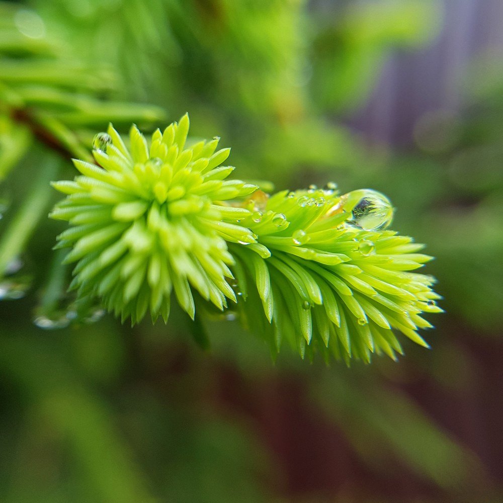 Photograph by Екатерина Вивюрская