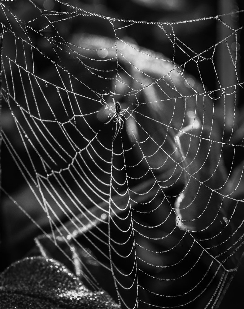 Photograph by  Михаил