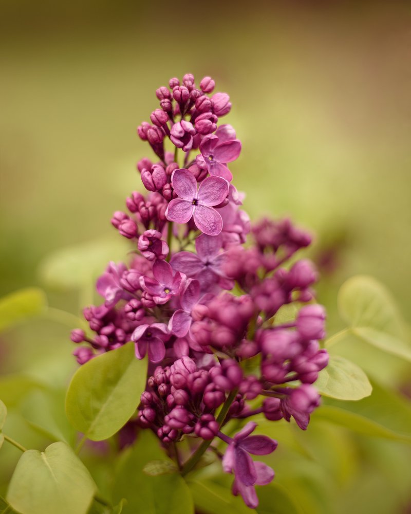 Photograph by Татьяна Мельник