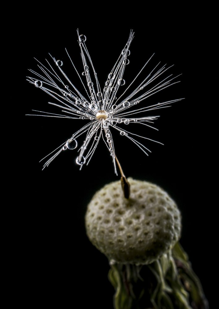 Photograph by Игорь Кляхин