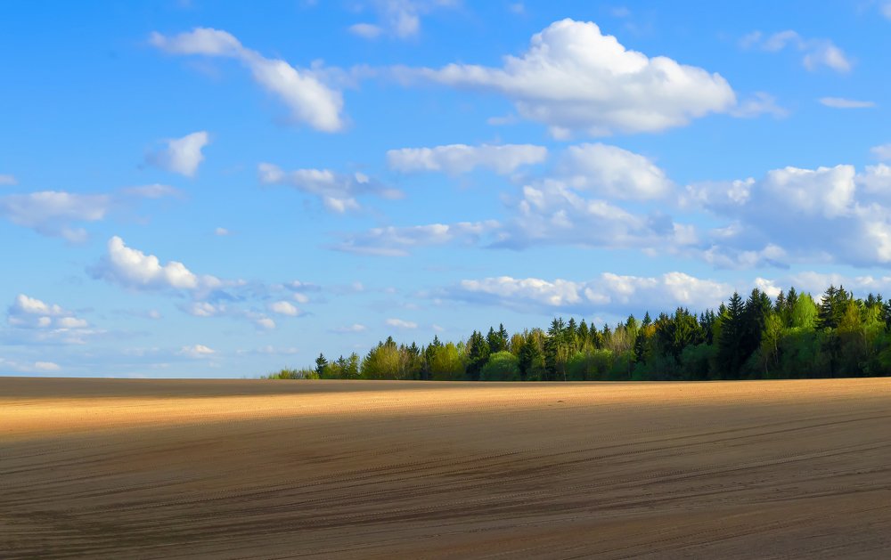 Середина мая