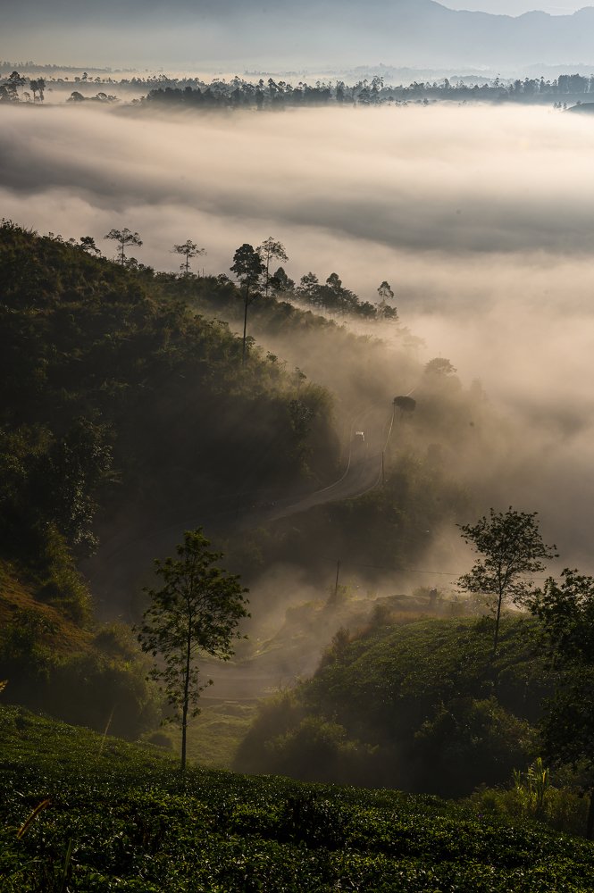 Photograph by Roland Andika Setiawan