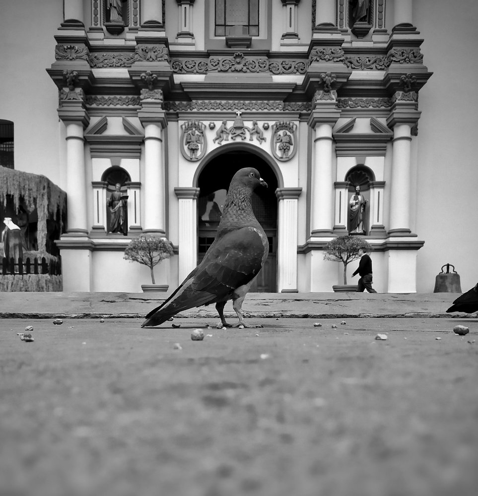 Photograph by ALEJANDRO MORELOS