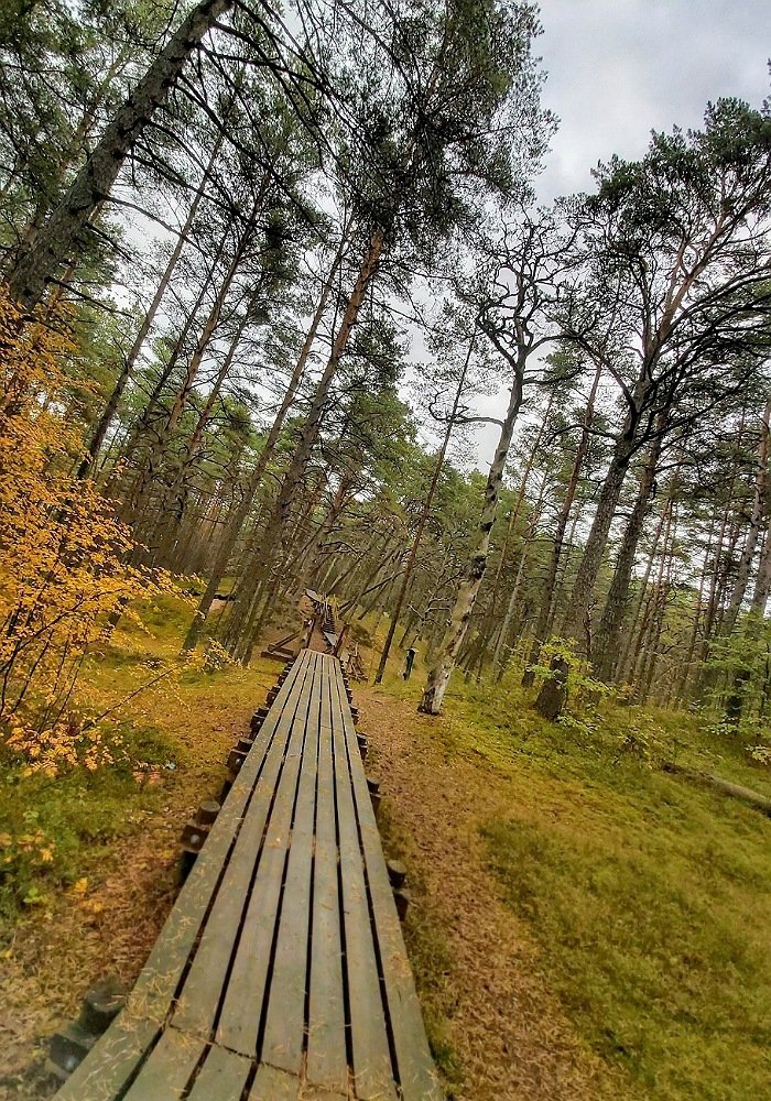 Photograph by Полина Ефимова