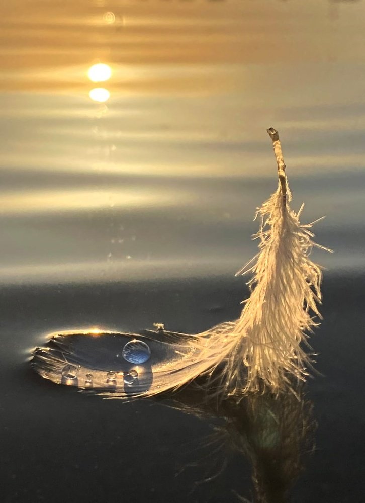 Photograph by Анатолий Андреев