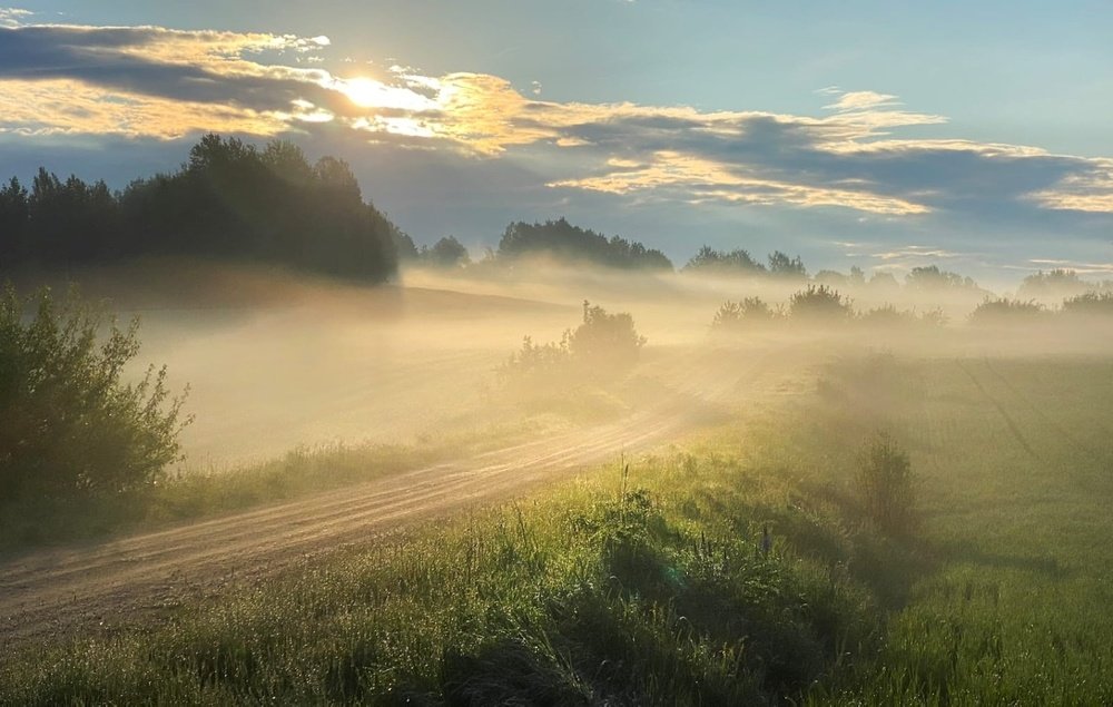 Photograph by Анатолий Андреев