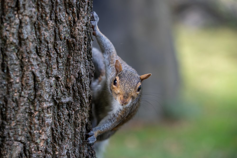 Photograph by Igor Babichenko