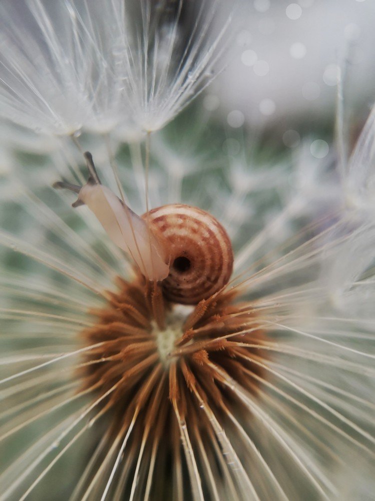 Photograph by Оксана Маракушина