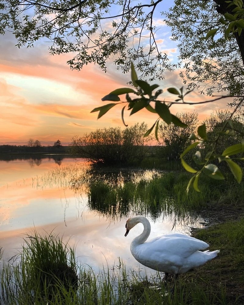 Photograph by Анатолий Андреев