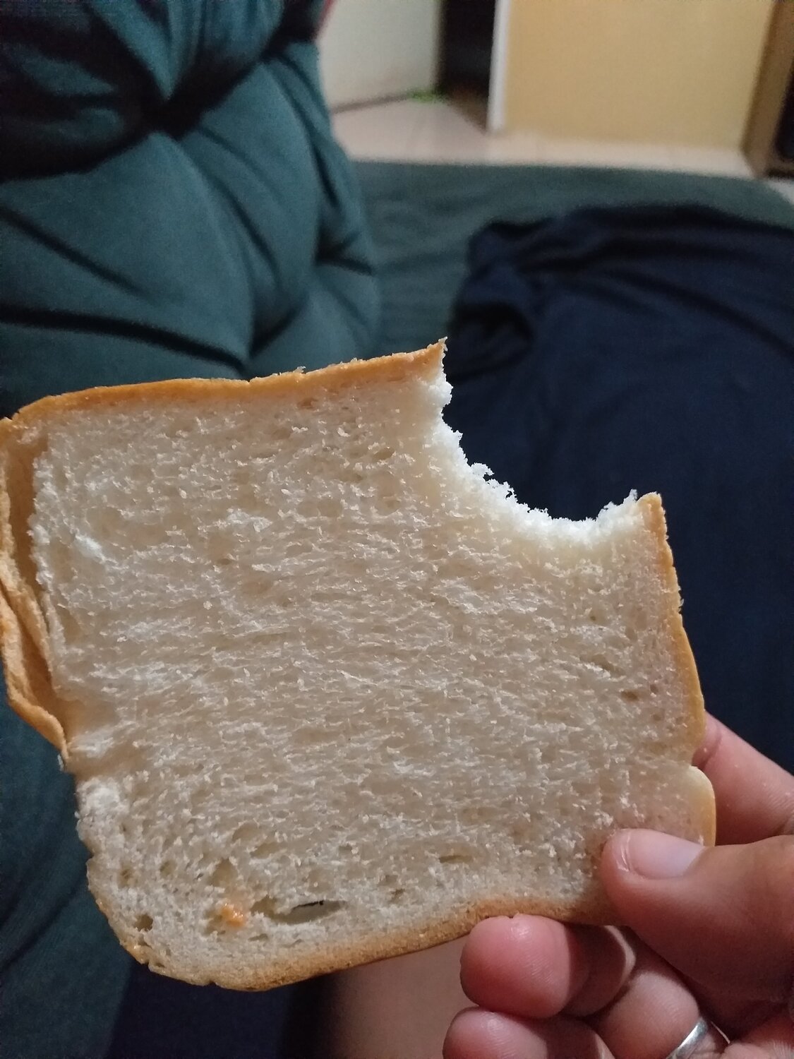 A Bitten Bread