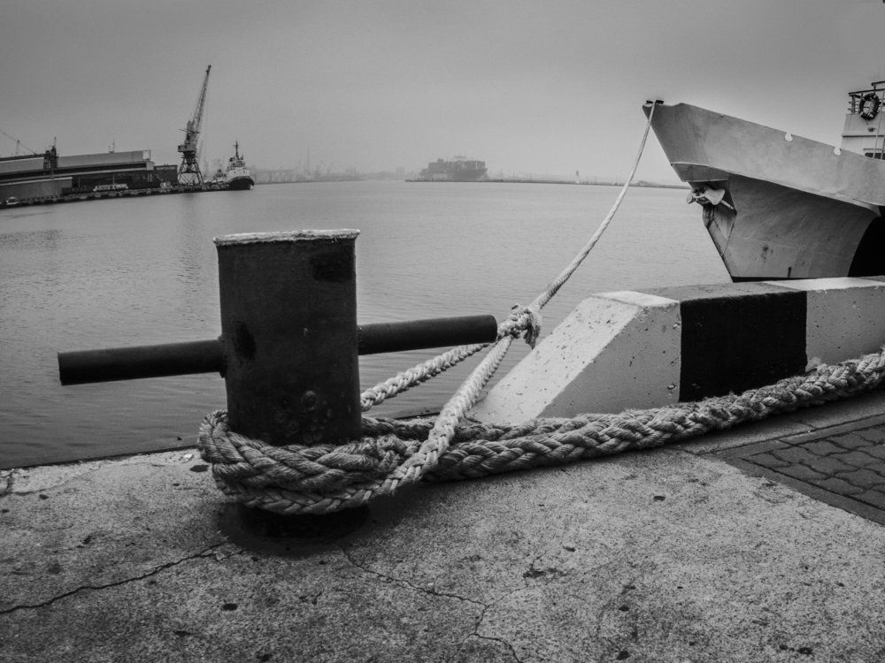 Photograph by Анна Шац