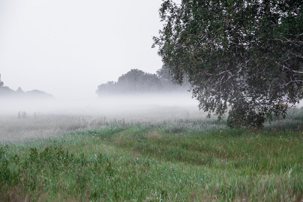 Photograph by Александр Лапшин