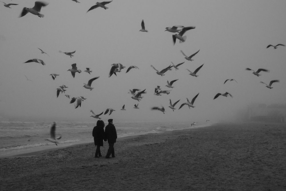 Photograph by Анна Шац