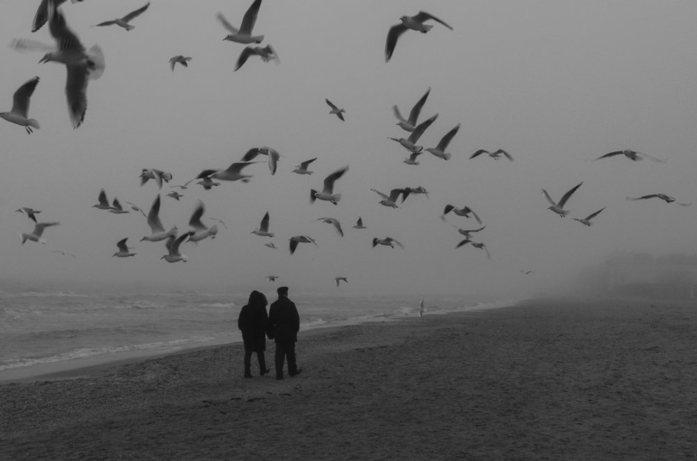 Photograph by Анна Шац