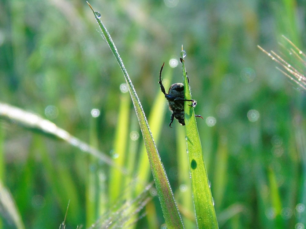 Photograph by Надежда Батракова