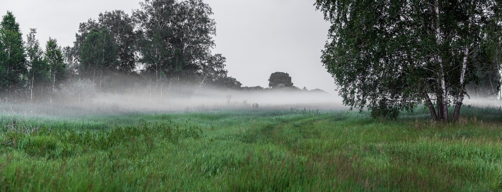 Туман после сильного дождя