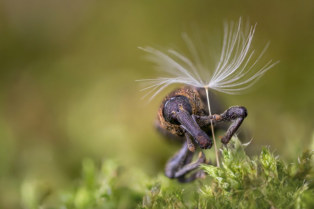 Photograph by Сергей Романченко