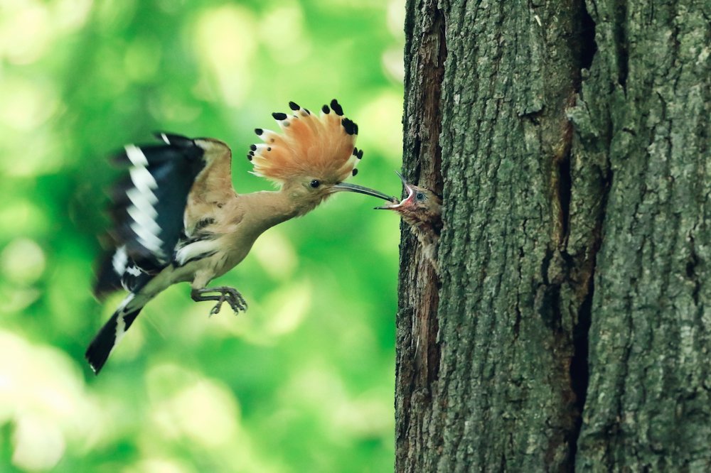 Photograph by Piotr Warzecha