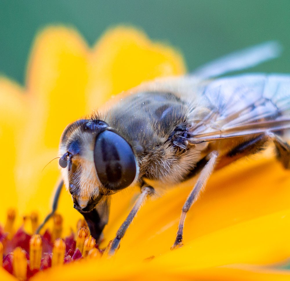 Photograph by Александр Шлюпиков