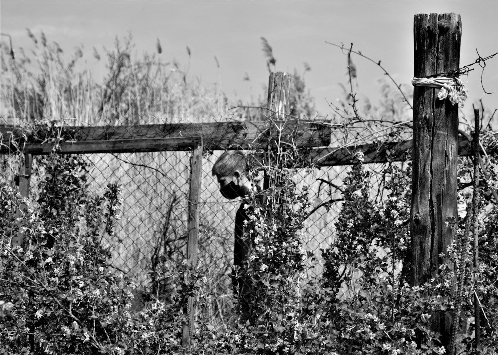 Photograph by Елена Кустова