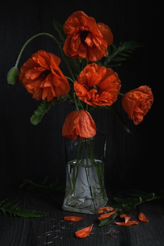 Photograph by Екатерина Долова