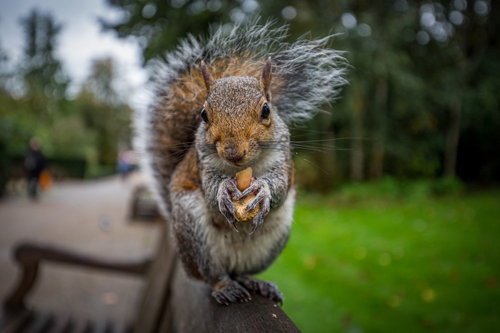 Photograph by Igor Babichenko