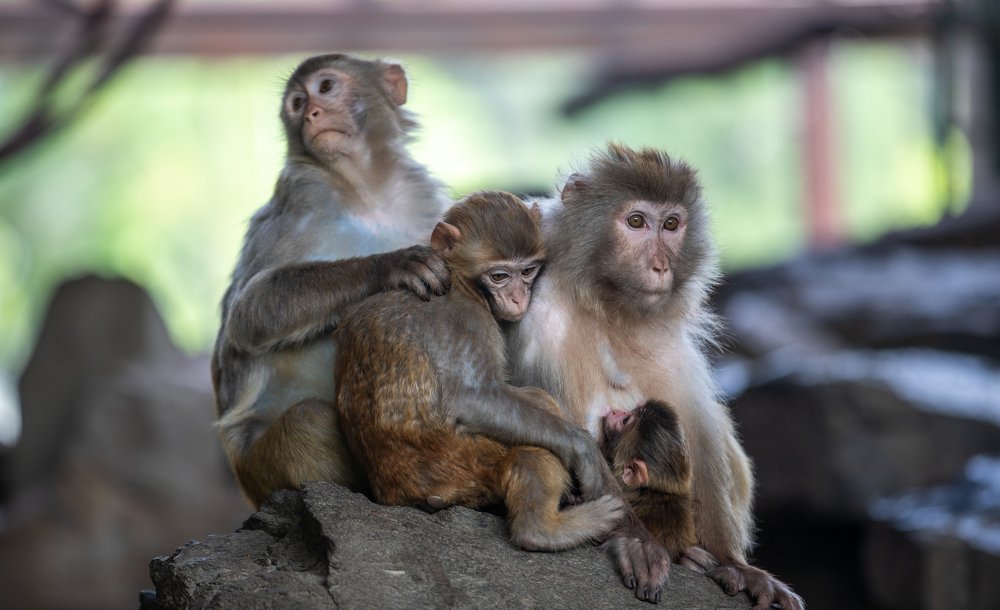 Photograph by Igor Babichenko