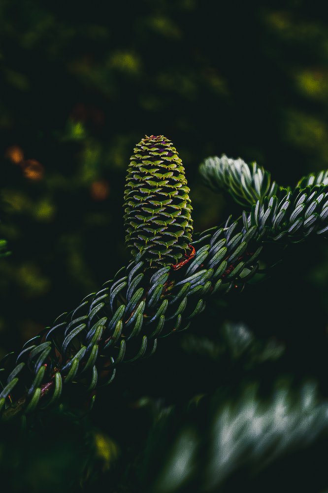 Photograph by Ilia Nikolenko