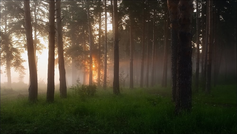 Фотография автора Игорь Петров