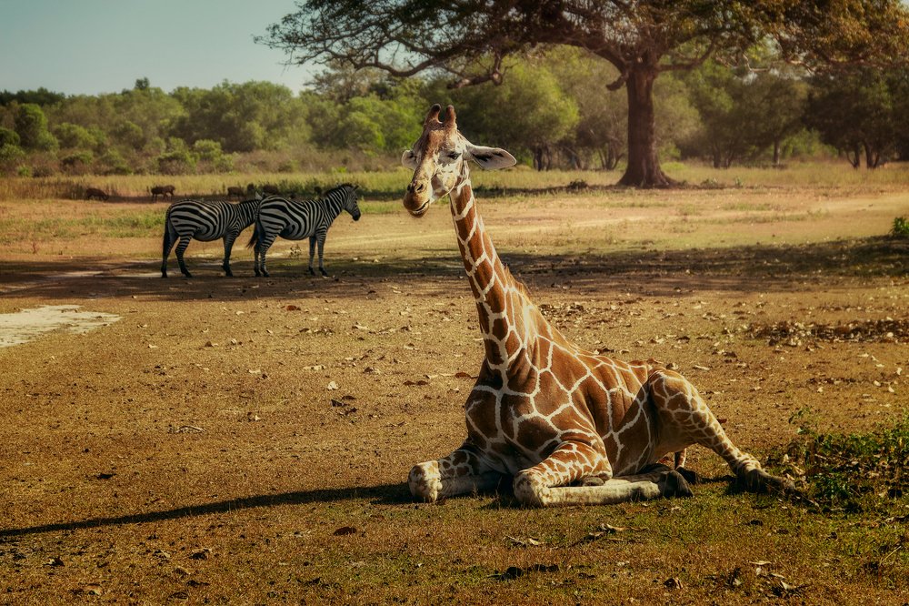 Фотография автора Дмитрий Герц