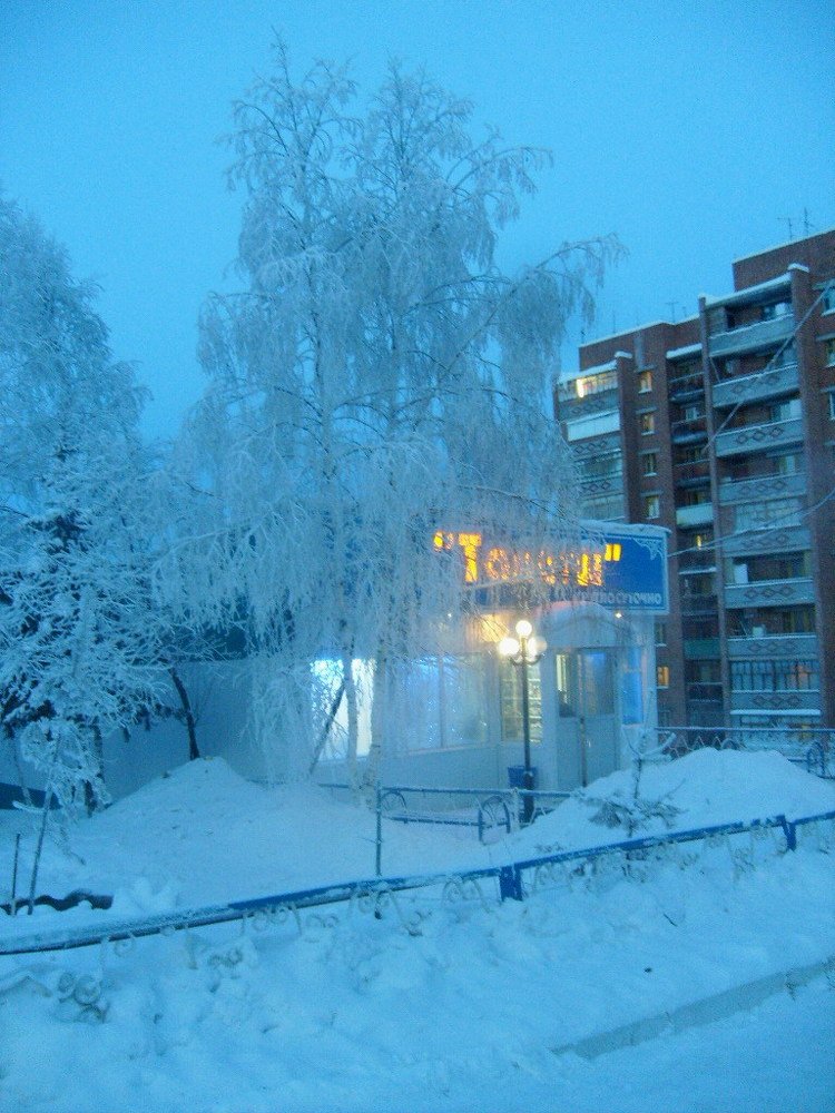 Photograph by Галина Радчук