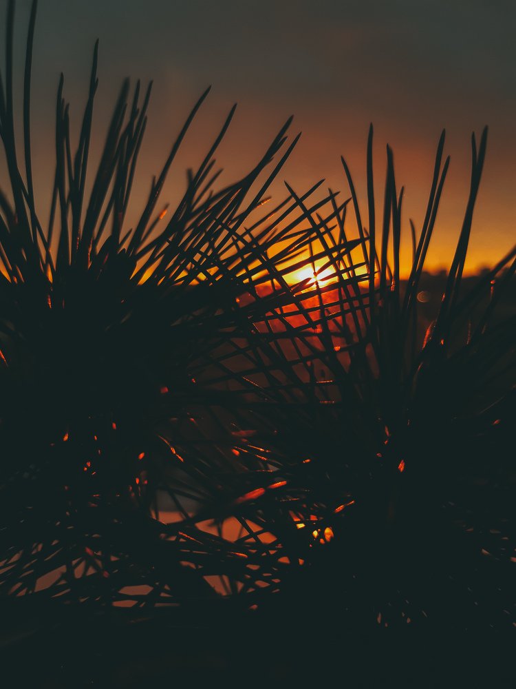 Фотография автора Наталина Семченко